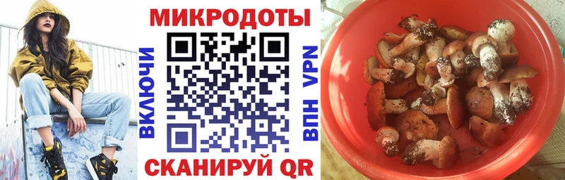 Псилоцибиновые грибы Cubensis  Неман 